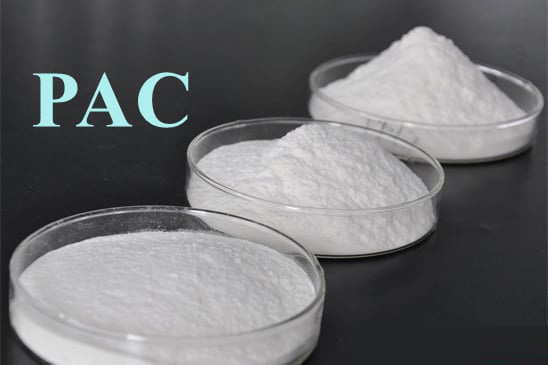Polyanionic Cellulose